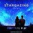 Aaron Wexler Stargazing